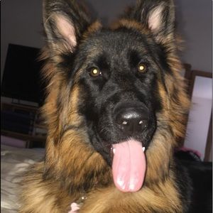 Meet your Posher, Danielle